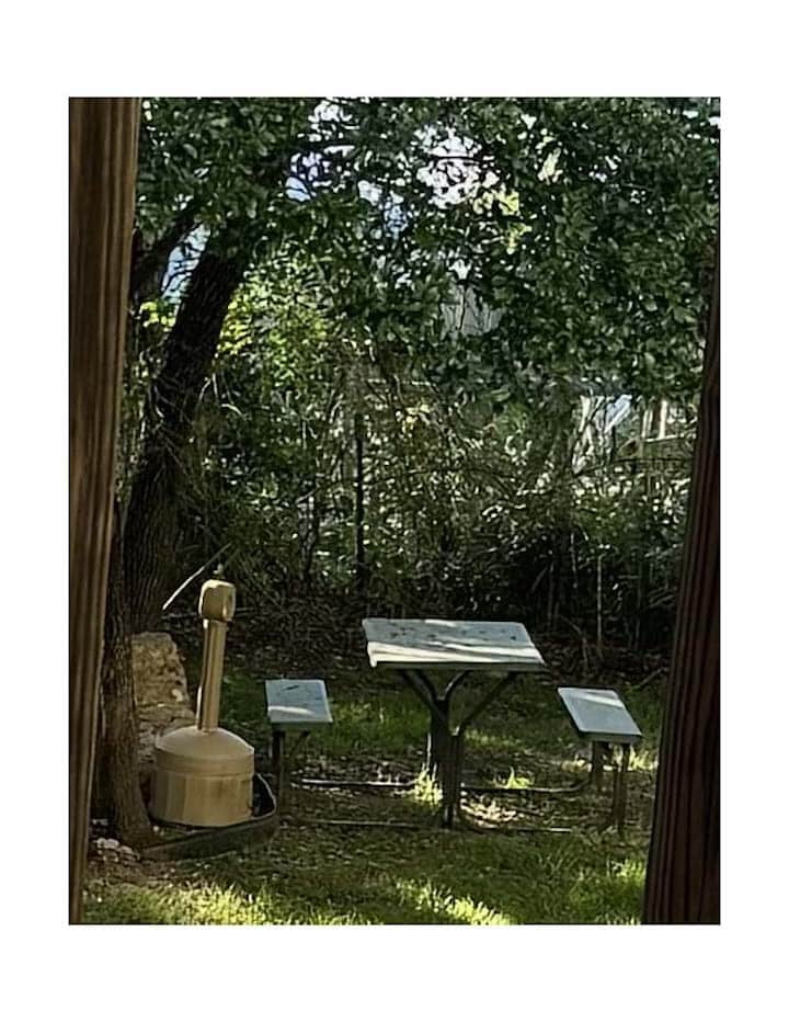 picture of picnic table in shaded back yard