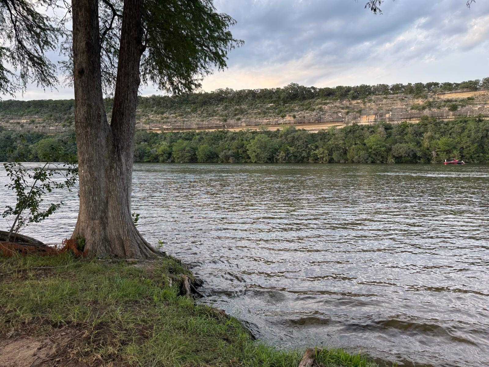 Picture of View at Lake Austin shore
