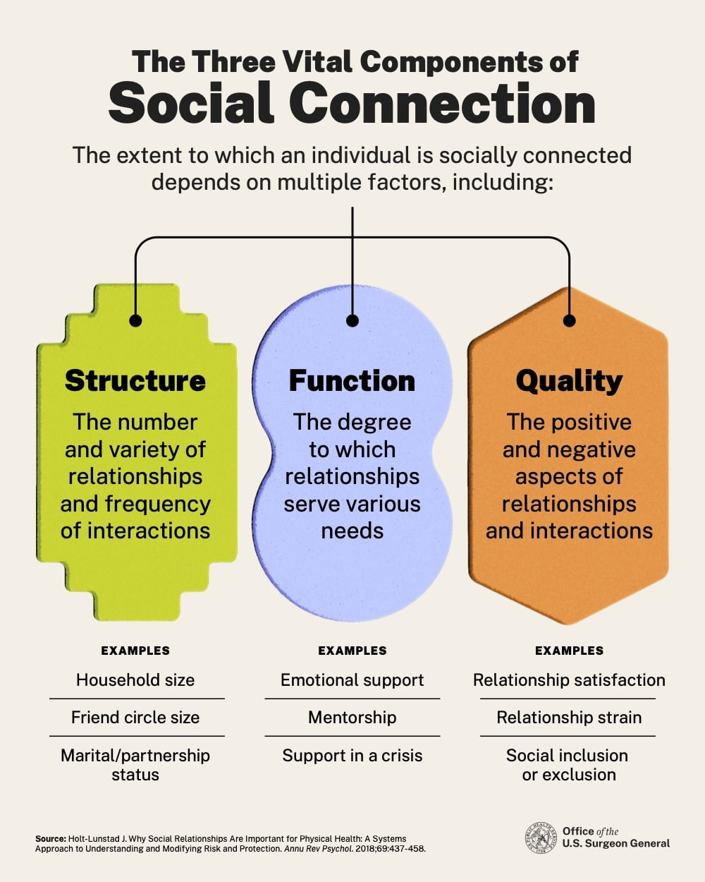 Graphic of the Three Vital Components of Social Connection
