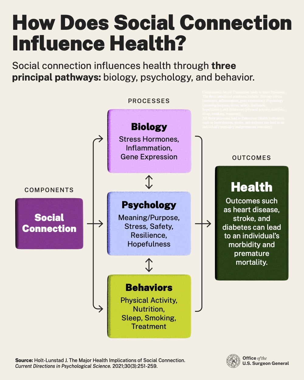 Graphic How does social connection influence health